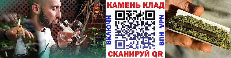 Гашиш Premium  блэк спрут как войти  Новотитаровская 