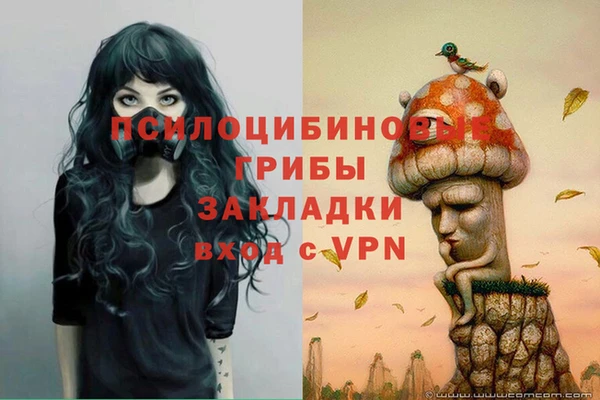 молекула духа Абаза