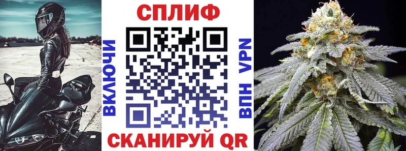KRAKEN как войти  Новотитаровская  Бошки марихуана MAZAR  как найти наркотики 